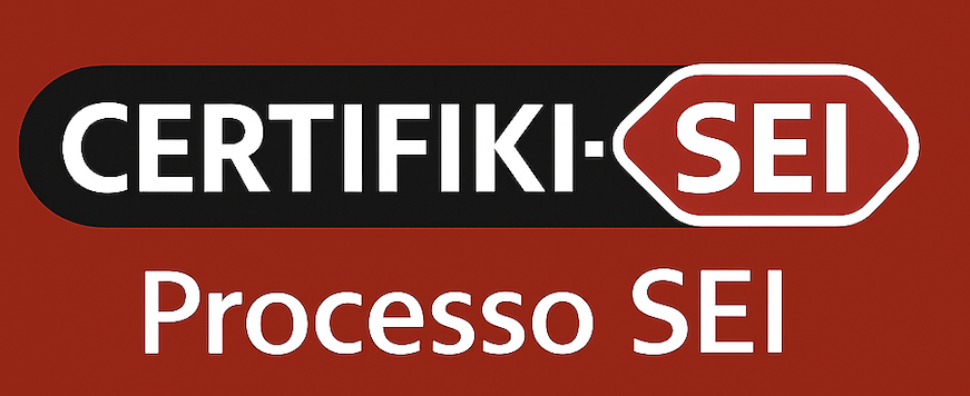 Processo SEI